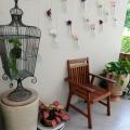 Tree Tales Cafe Preview